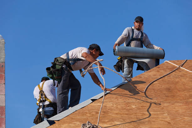 Best Metal Roofing Contractor  in Bristol, VA